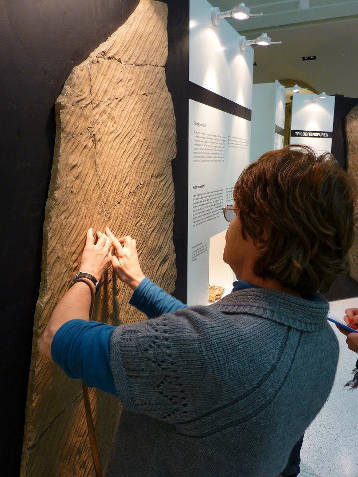 Besuchende ertastet eine versteinerte Platte.